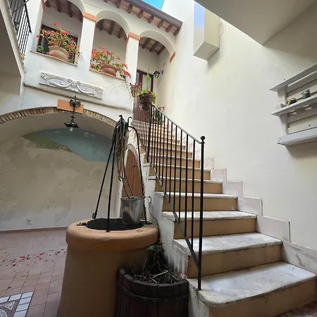 Zi Albina Apartman Vasto